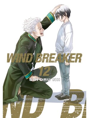 Wind Breaker, Volume 12 - Boston Public Library - OverDrive